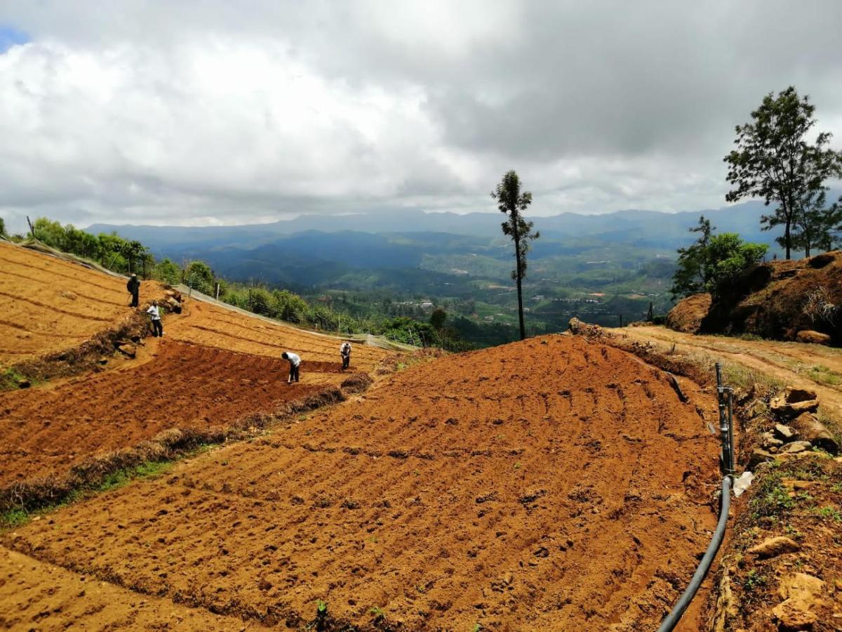 Готель Unique View Nuwaraeliya Нувара-Елія Екстер'єр фото