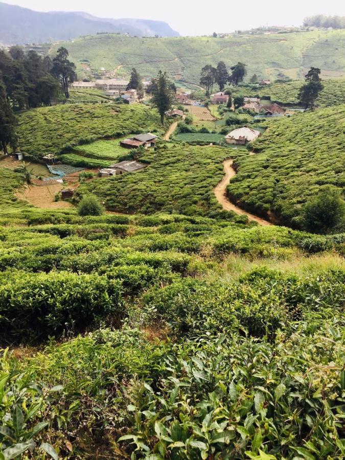 Готель Unique View Nuwaraeliya Нувара-Елія Екстер'єр фото